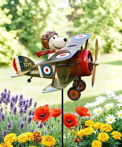 Windodream sky dreamer